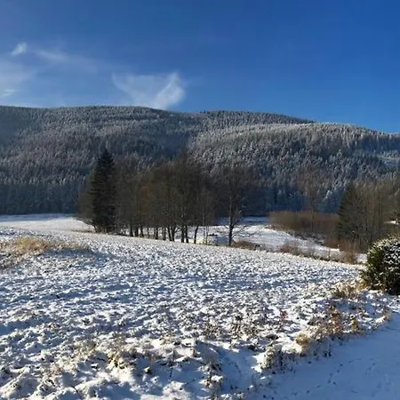 Goldovi Chalet *